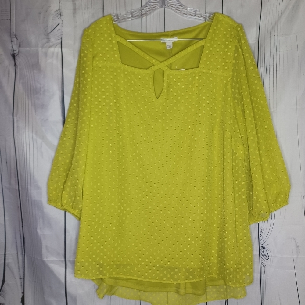 Cato Chiffon Swiss Dot Career Wear Office Chic 3/4 sleeve sheer shirt NWT